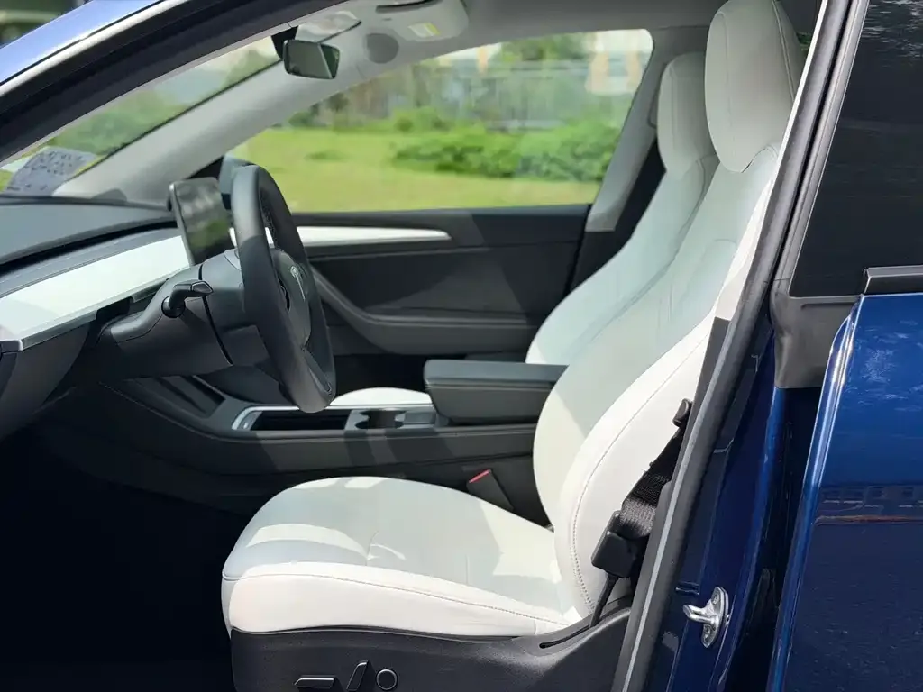 Tesla Model Y 2023 из CN, фото 4
