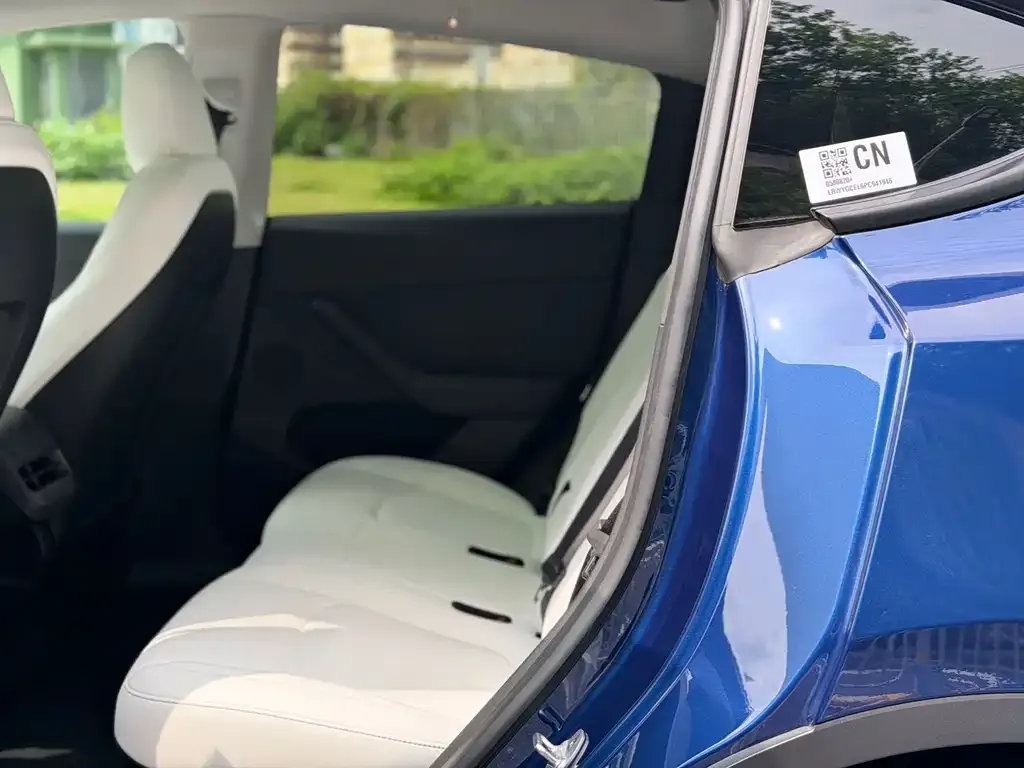 Tesla Model Y 2023 из CN, фото 6