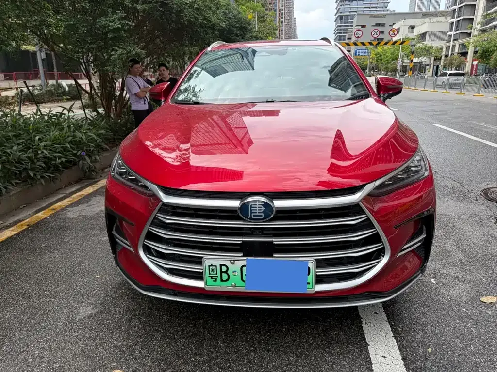 BYD Tang New Energy 2022 из CN, фото 1