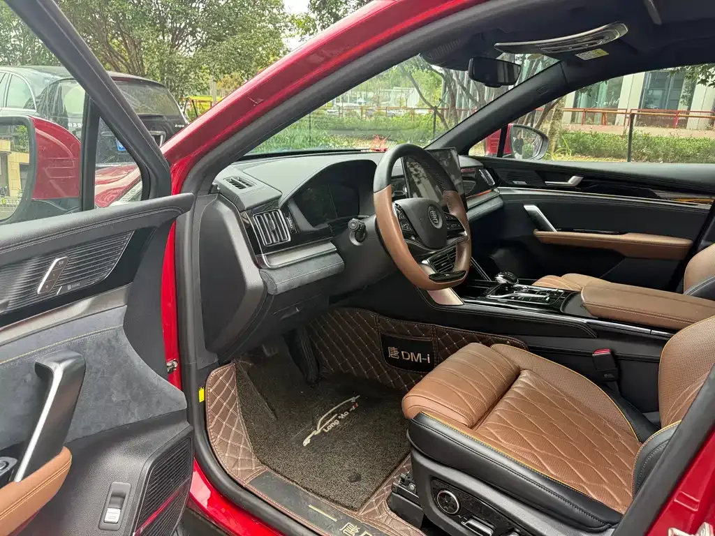 BYD Tang New Energy 2022 из CN, фото 4