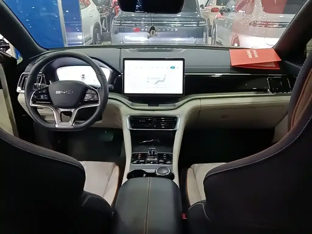 BYD PLUS New Energy — фото 6