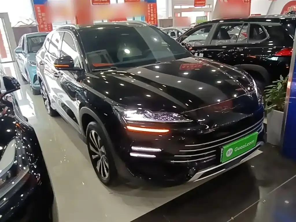 BYD PLUS New Energy — фото 2