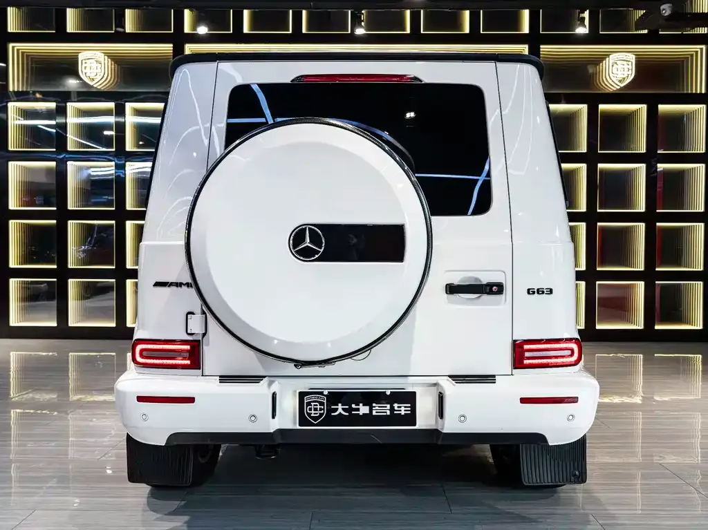 Mercedes-Benz G-Class 2021 из CN, фото 3
