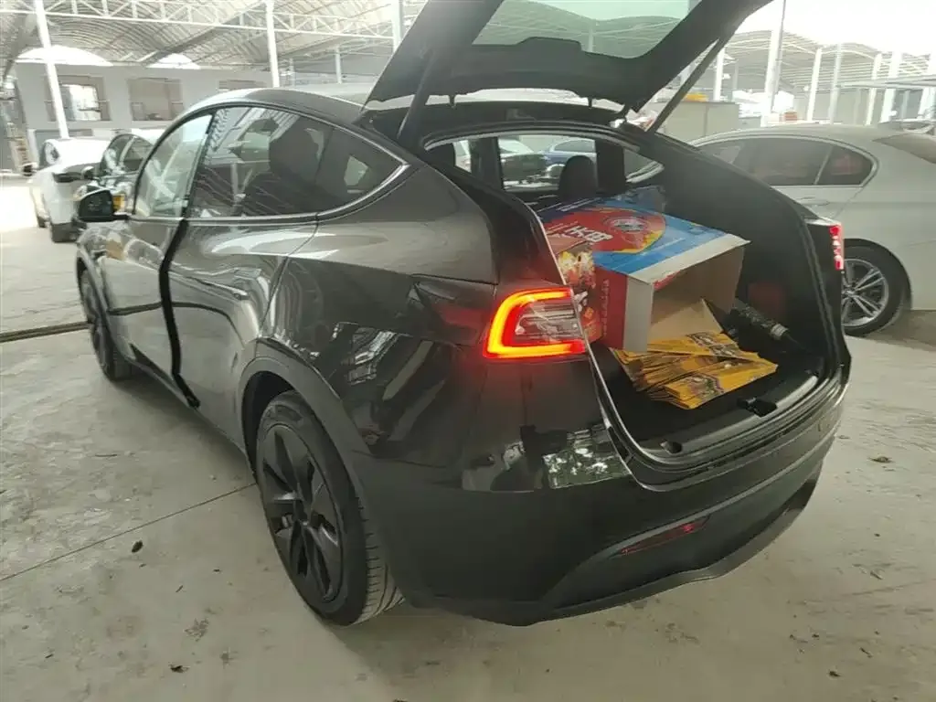 Tesla Model Y — фото 5