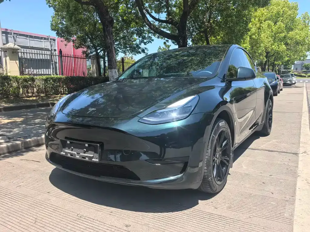 Tesla Model Y — фото 1