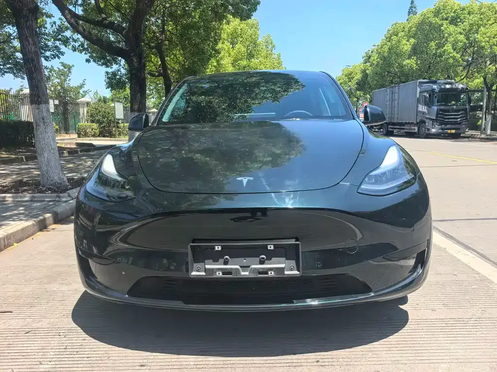 Tesla Model Y — фото 6