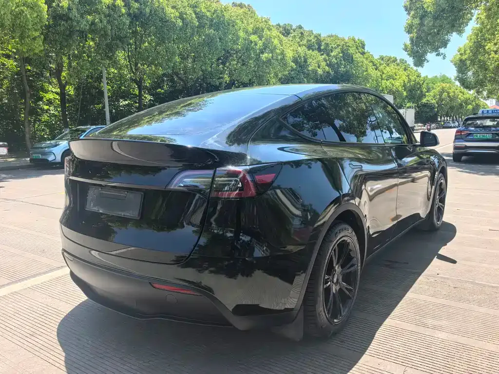 Tesla Model Y — фото 9
