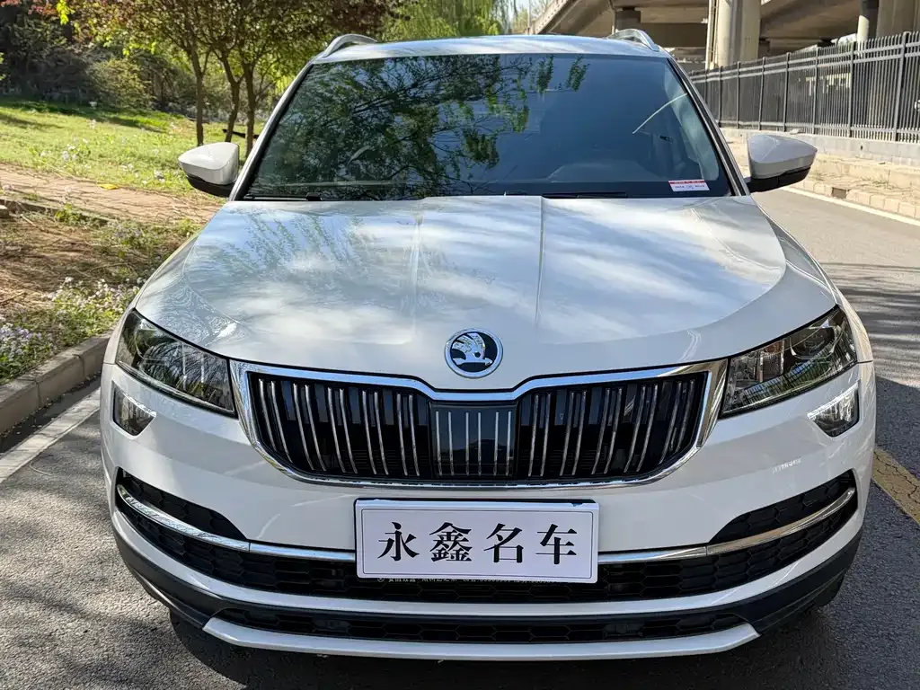 Skoda Karoq 2021 из CN, фото 5