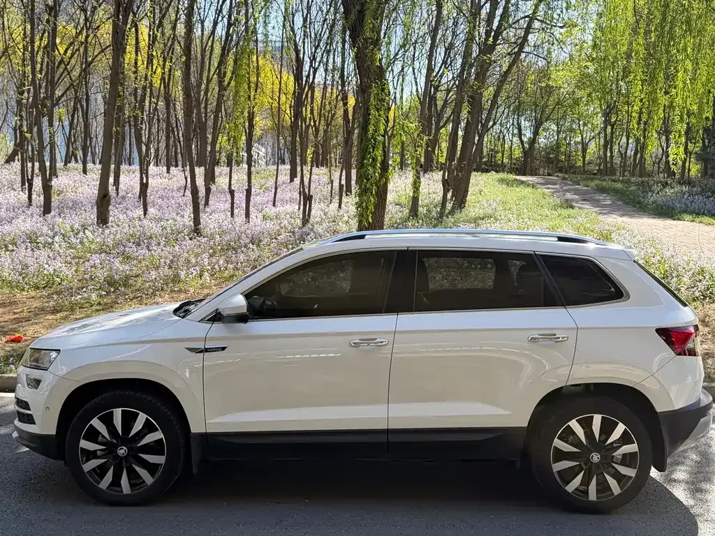 Skoda Karoq 2021 из CN, фото 6