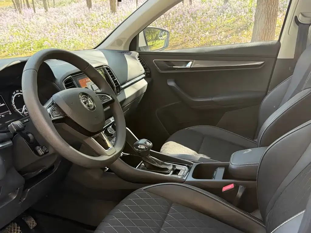 Skoda Karoq 2021 из CN, фото 9