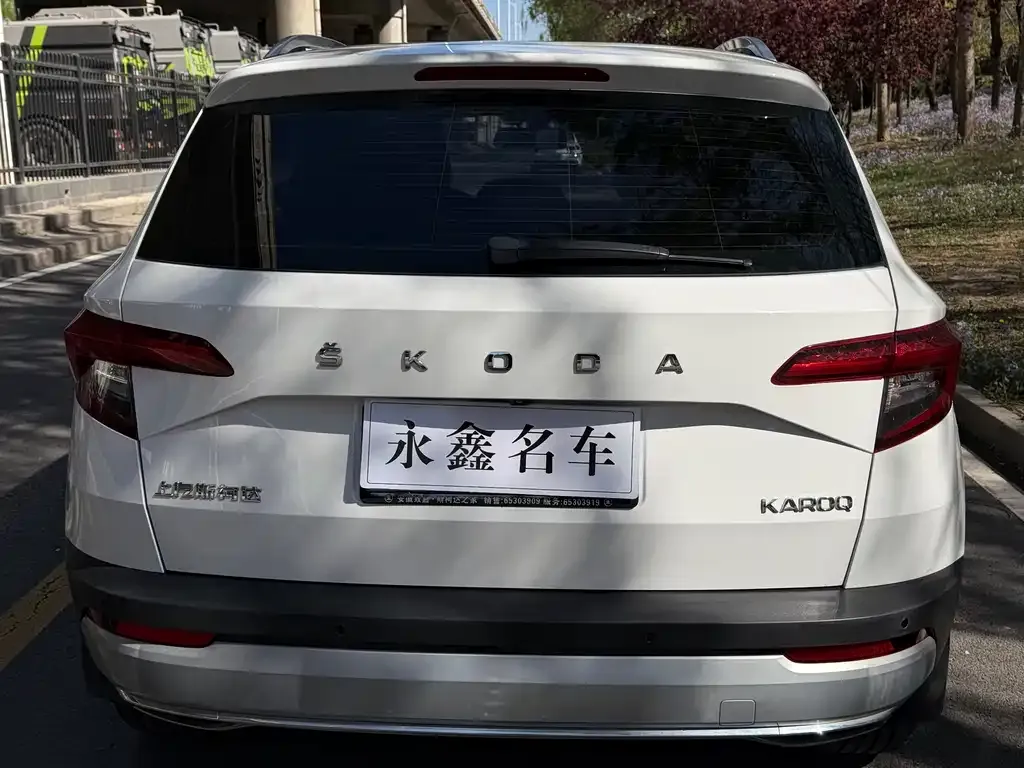 Skoda Karoq 2021 из CN, фото 2