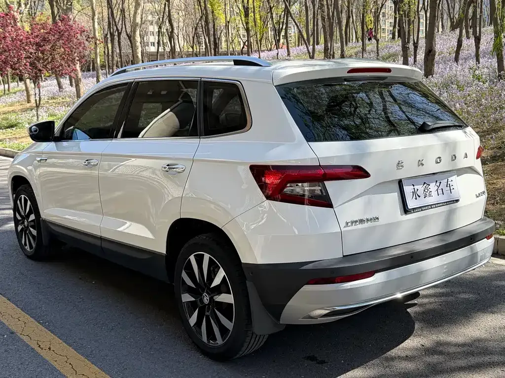 Skoda Karoq 2021 из CN, фото 7
