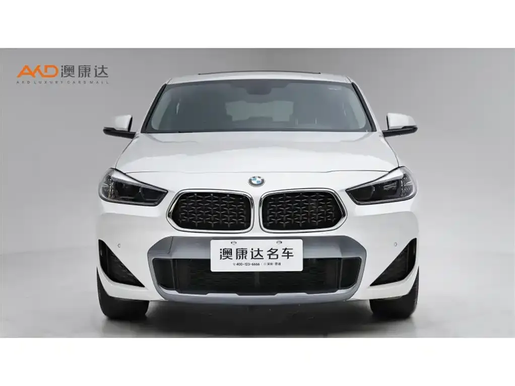 BMW X2 2023 из CN, фото 2