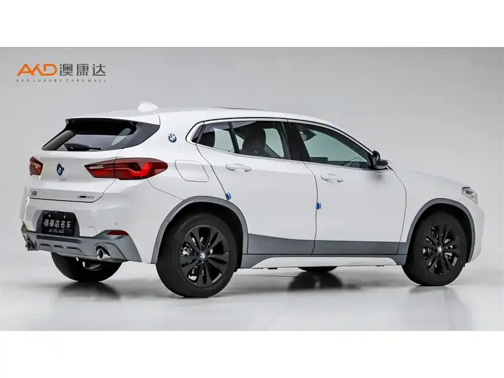 BMW X2 2023 из CN, фото 8
