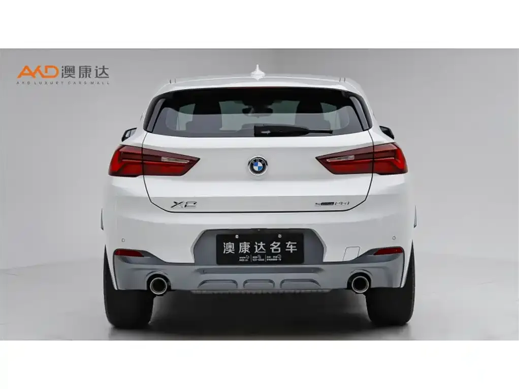 BMW X2 2023 из CN, фото 9