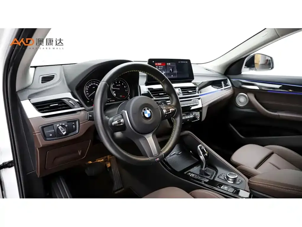 BMW X2 2023 из CN, фото 10