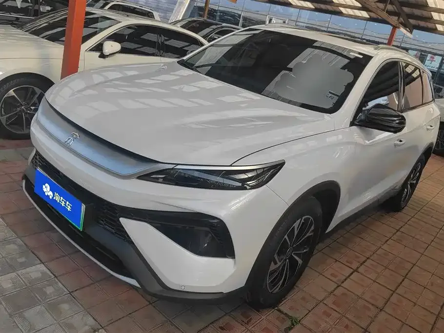BYD Pro New Energy 2024 из CN, фото 1