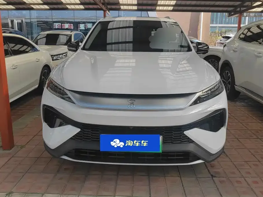 BYD Pro New Energy 2024 из CN, фото 10