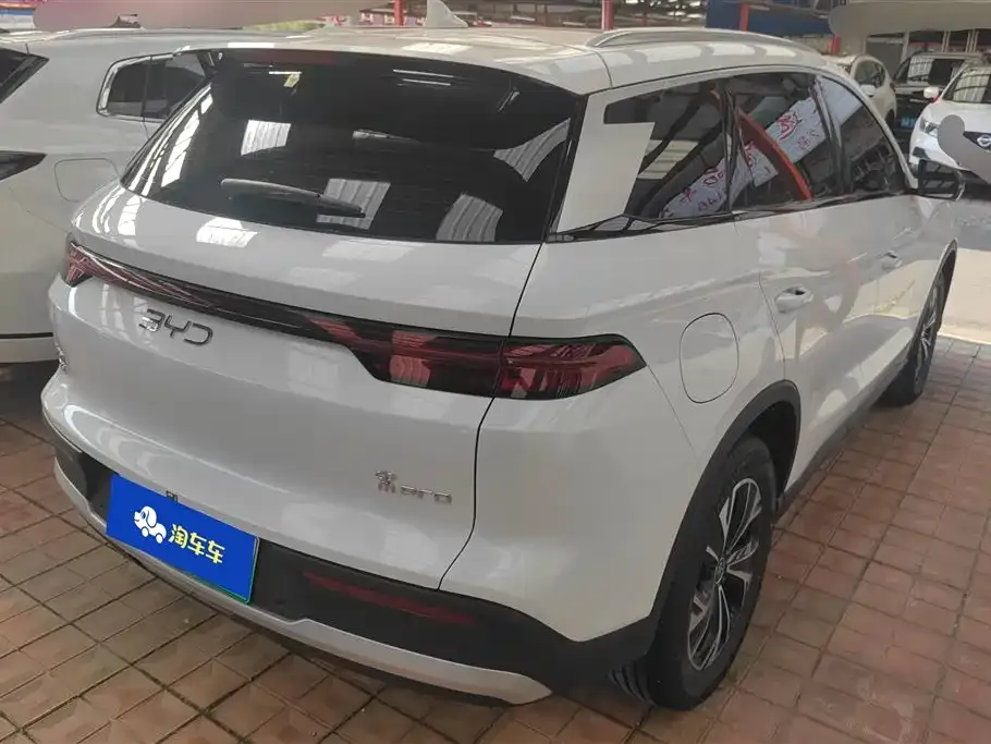 BYD Pro New Energy 2024 из CN, фото 6