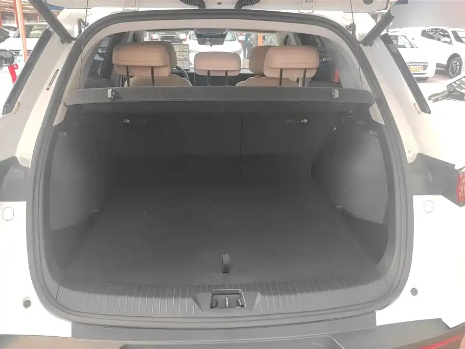 BYD Pro New Energy 2024 из CN, фото 7