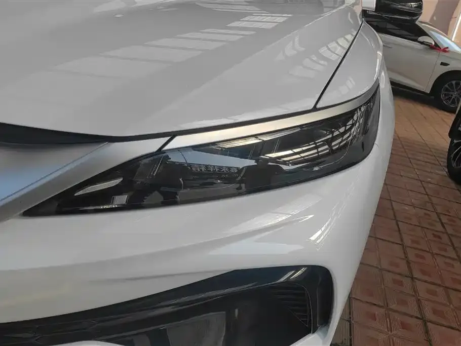 BYD Pro New Energy 2024 из CN, фото 4