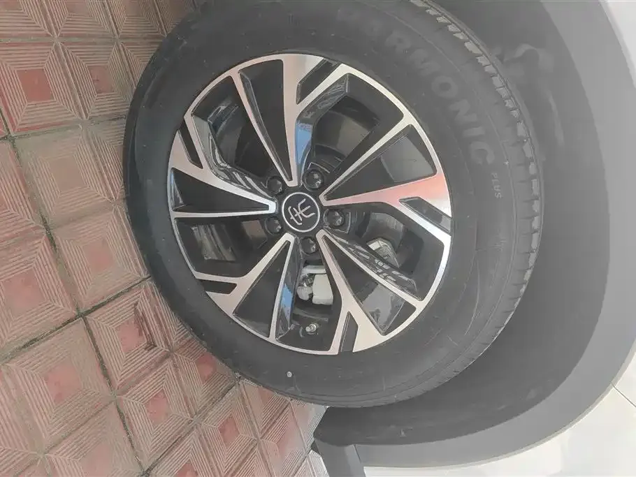 BYD Pro New Energy 2024 из CN, фото 9
