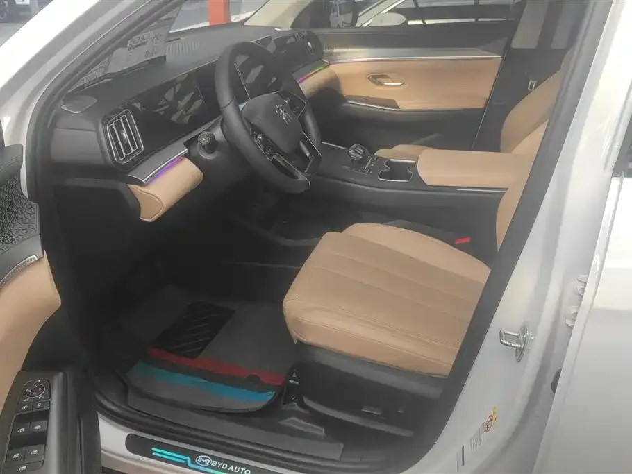 BYD Pro New Energy 2024 из CN, фото 3