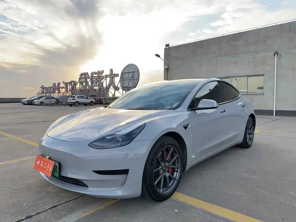 Tesla Model 3 2021 из CN, фото 1