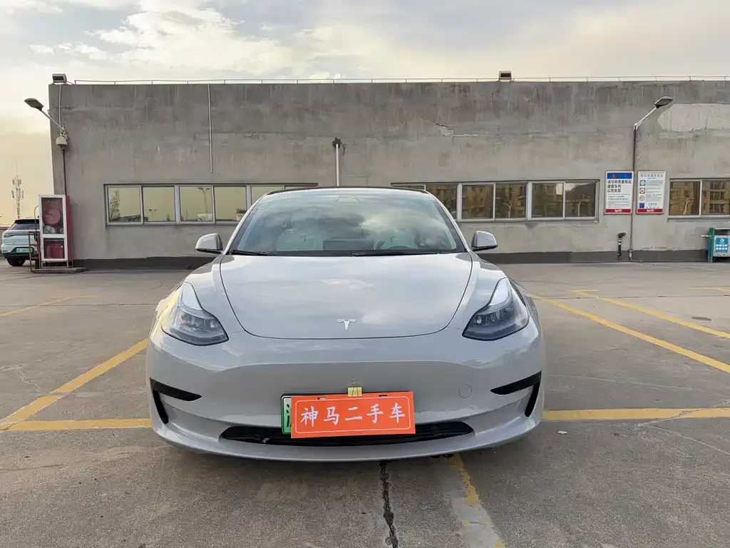Tesla Model 3 2021 из CN, фото 8