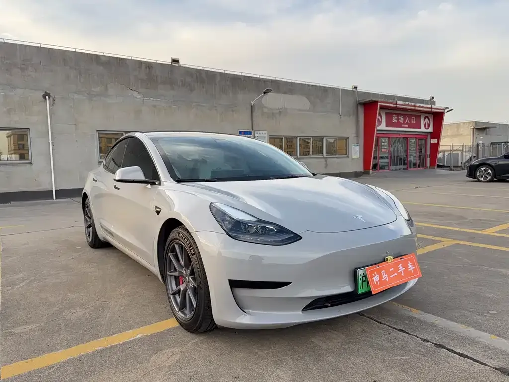 Tesla Model 3 2021 из CN, фото 3