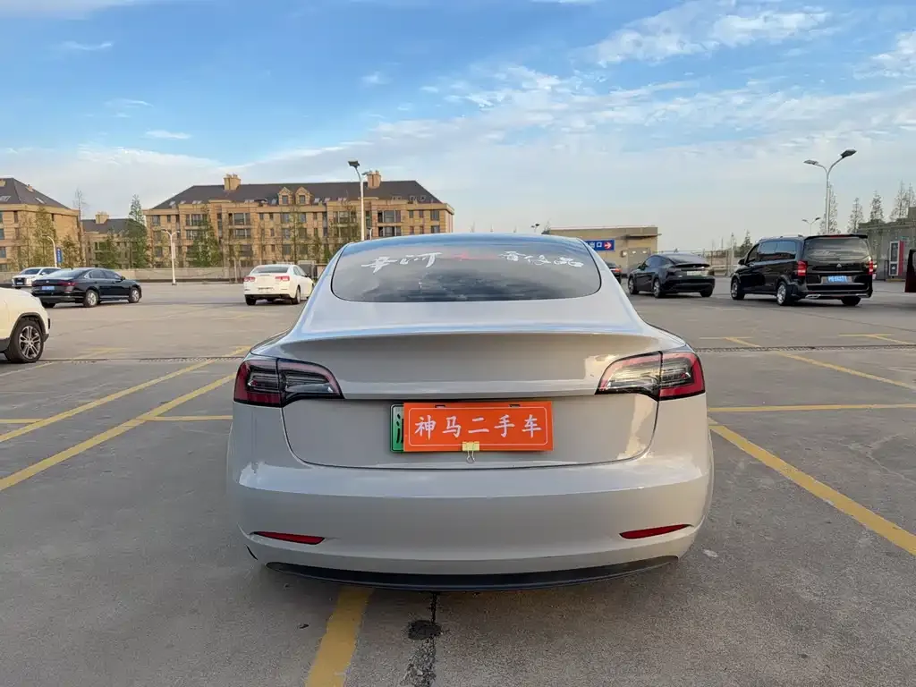 Tesla Model 3 2021 из CN, фото 4