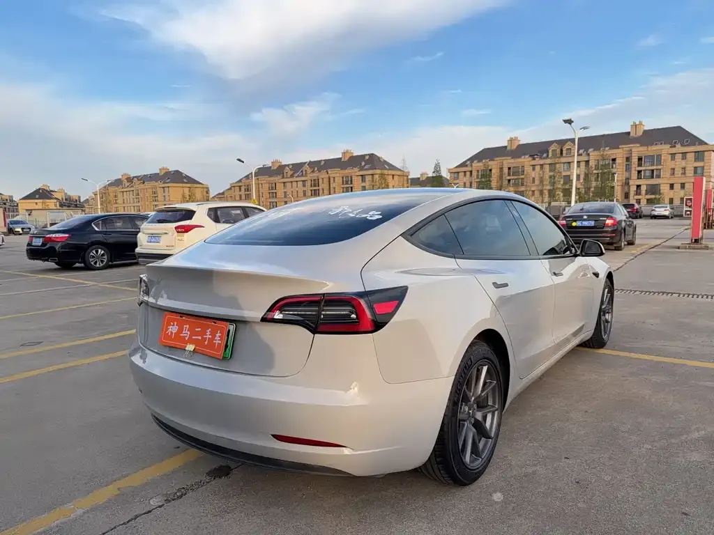 Tesla Model 3 2021 из CN, фото 7