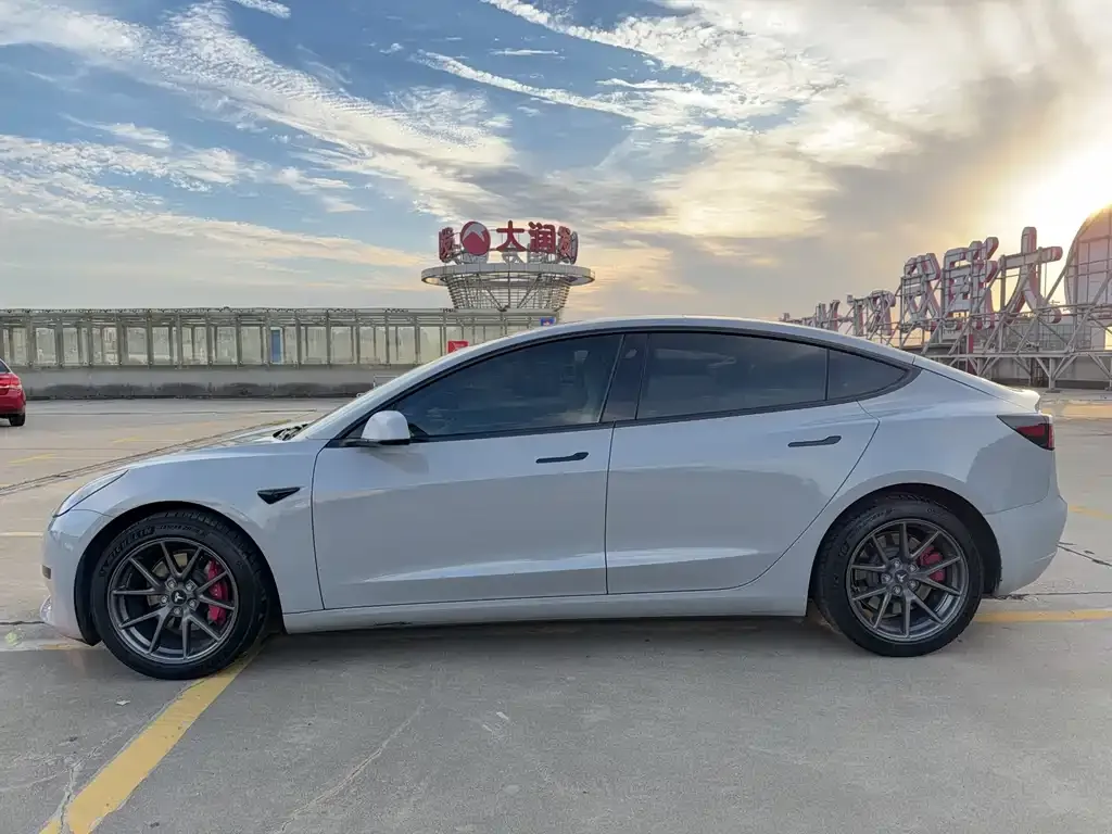 Tesla Model 3 2021 из CN, фото 5
