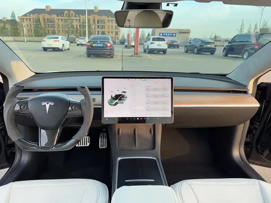 Tesla Model 3 2021 из CN, фото 6