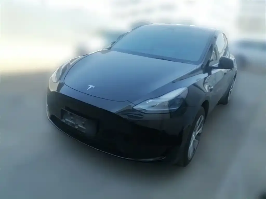 Tesla Model Y 2023 из CN, фото 2