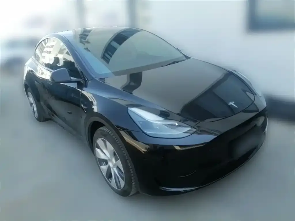 Tesla Model Y 2023 из CN, фото 9