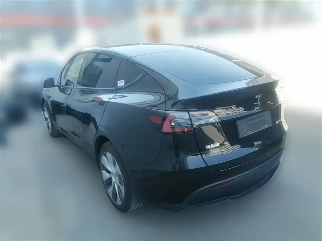 Tesla Model Y 2023 из CN, фото 8