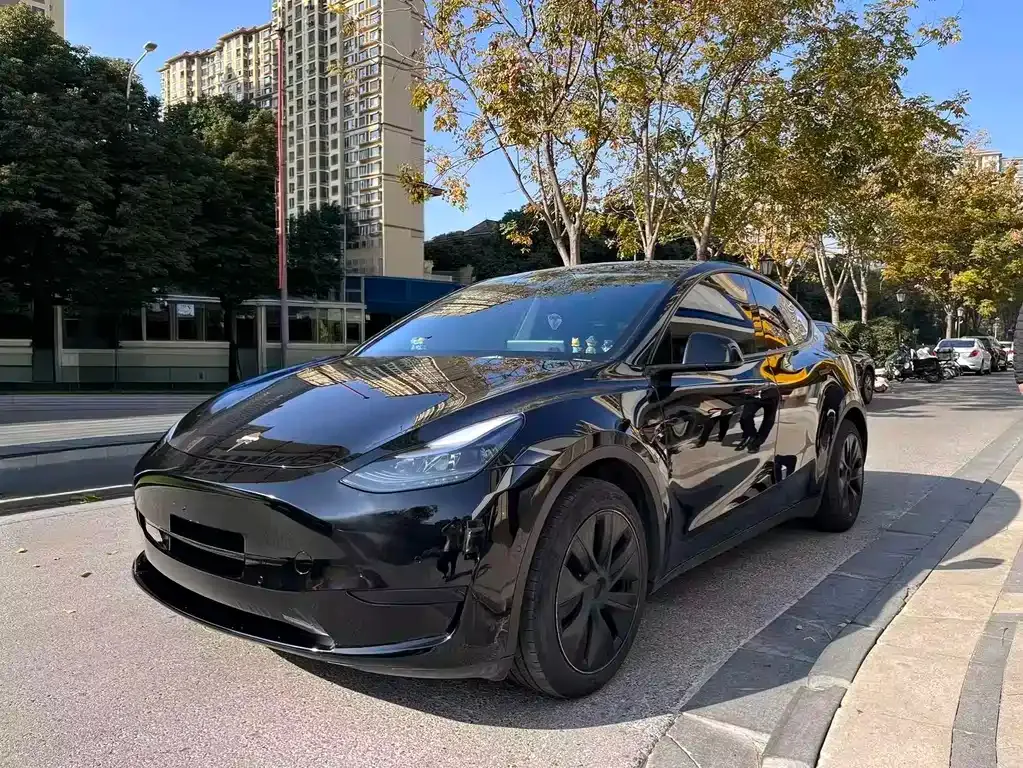 Tesla Model Y — фото 1