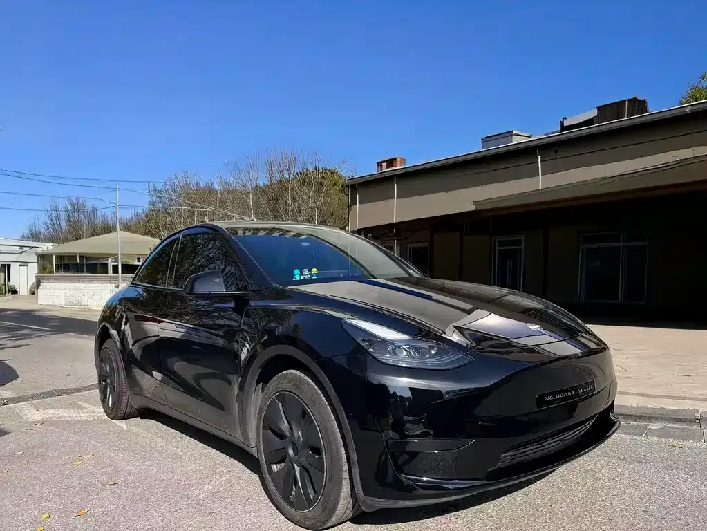 Tesla Model Y — фото 8