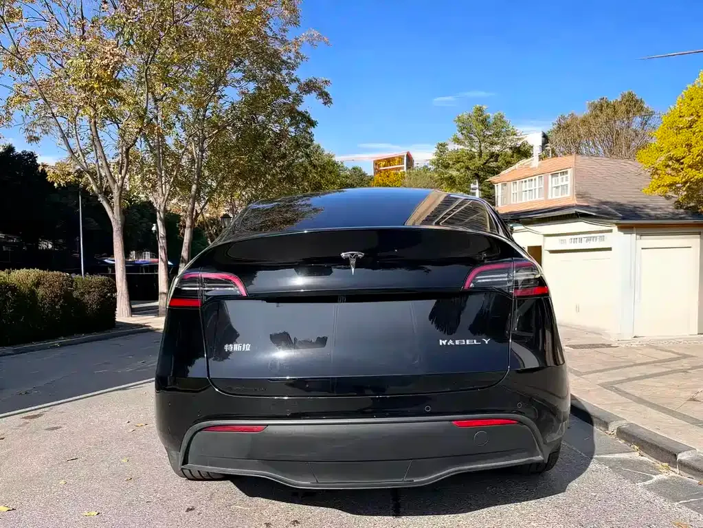 Tesla Model Y — фото 9