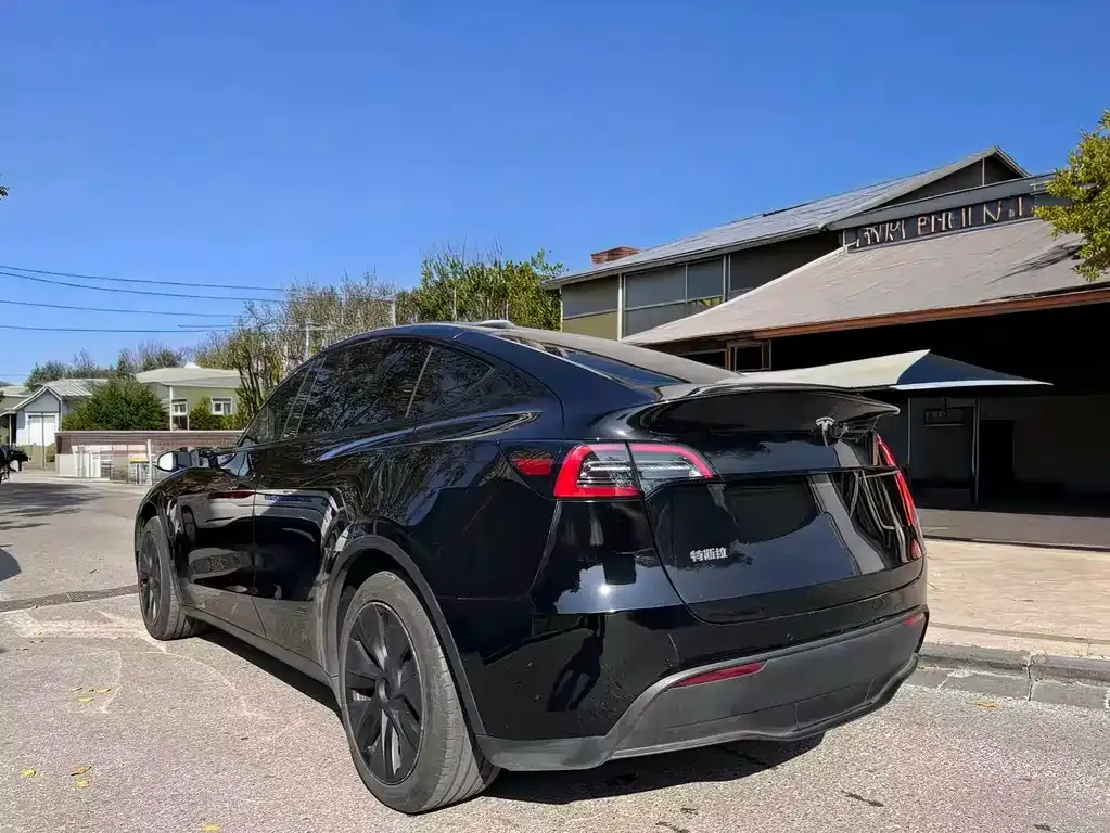 Tesla Model Y — фото 7
