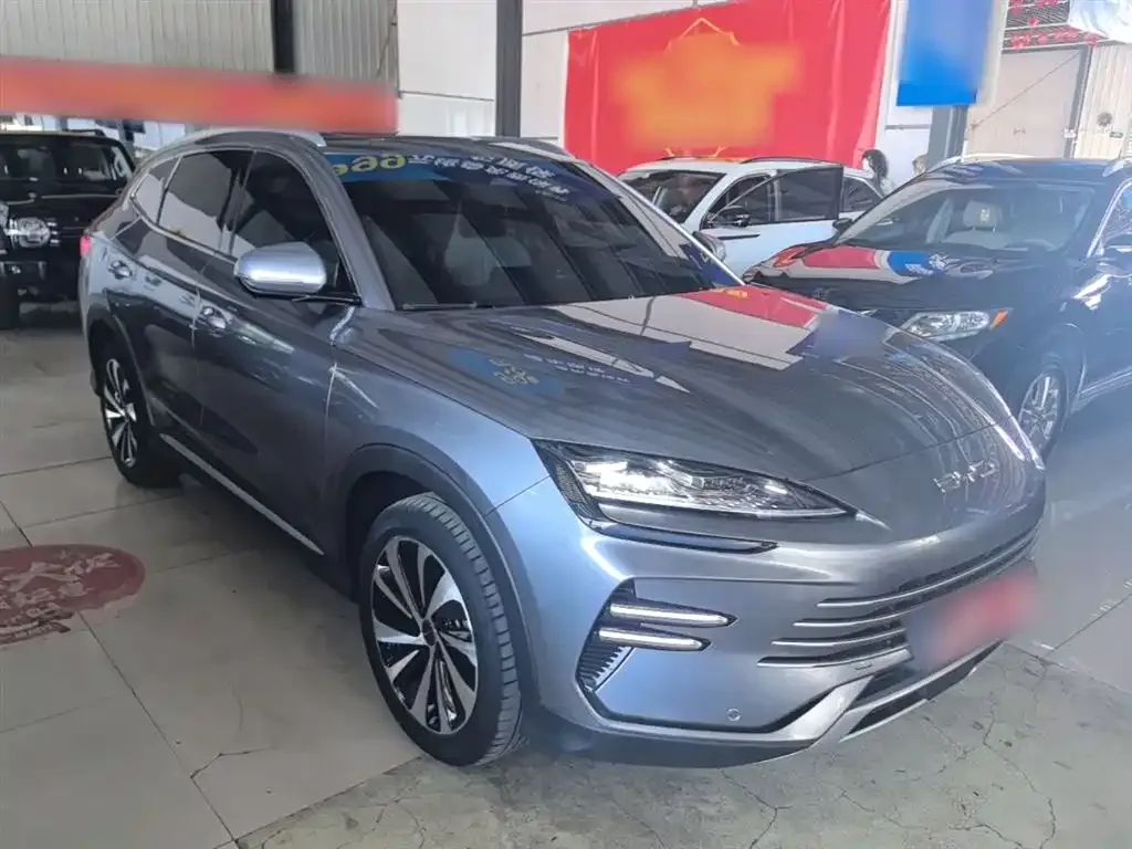 BYD PLUS New Energy 2023 из CN, фото 6