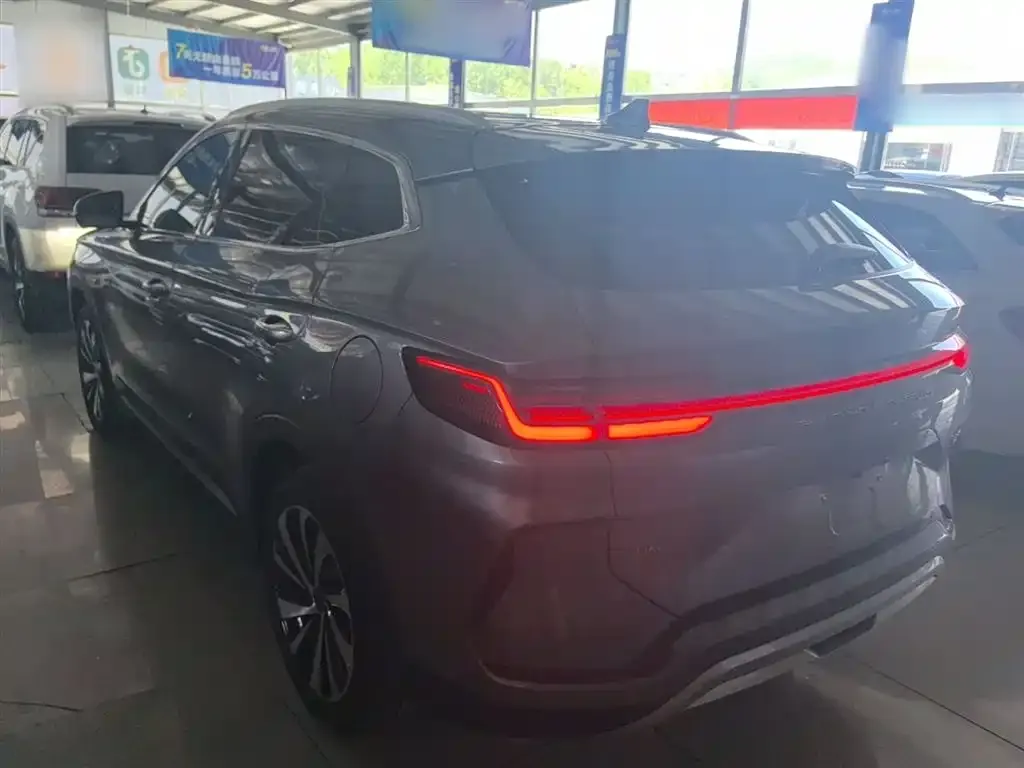 BYD PLUS New Energy 2023 из CN, фото 3