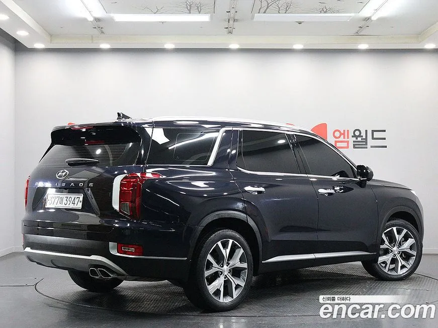 Hyundai Palisade — фото 10