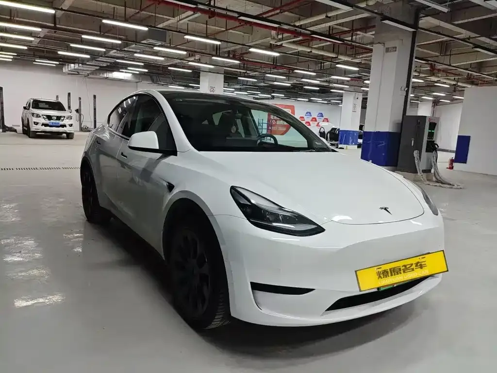 Tesla Model Y 2023 из CN, фото 6