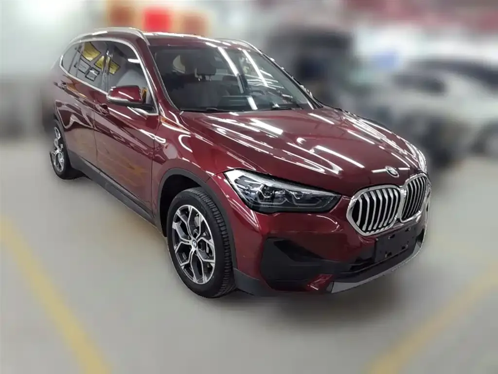BMW X1 — фото 6