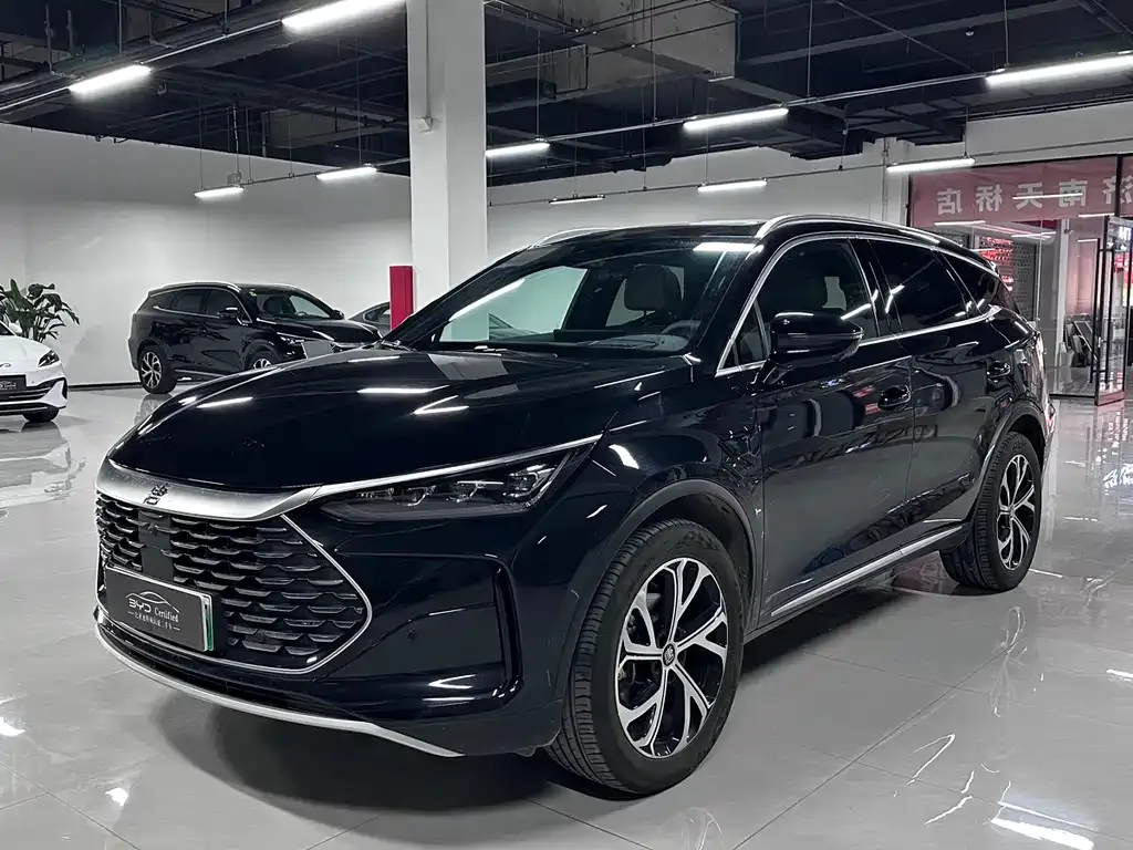 BYD Tang New Energy 2025 из CN, фото 1