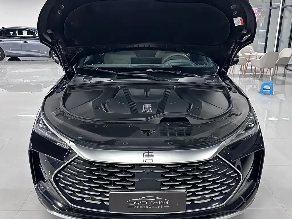 BYD Tang New Energy 2025 из CN, фото 10
