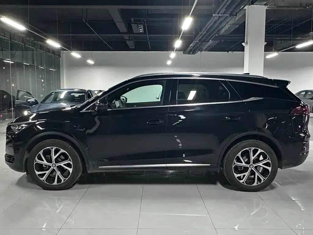 BYD Tang New Energy 2025 из CN, фото 5