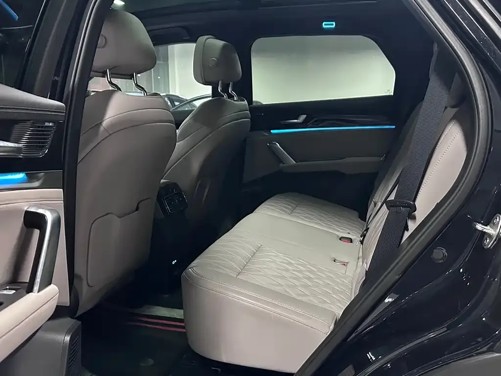 BYD Tang New Energy 2025 из CN, фото 9